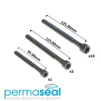 Permaseal Cylinder Head Bolt Set Thumbnail