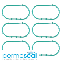 Permaseal Fuel Injection Plenum Gasket Thumbnail
