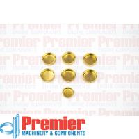 Premier Welch plug kit Thumbnail