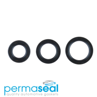 Permaseal Timing Seal Kit Thumbnail