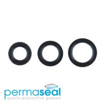 Permaseal Timing Seal Kit Thumbnail