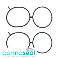 Permaseal Fuel Injection Plenum Gasket Thumbnail