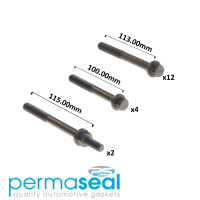 Permaseal Cylinder Head Bolt Set Thumbnail
