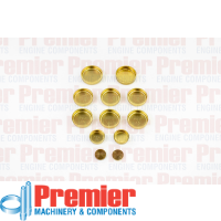 Premier Welch plug kit Thumbnail