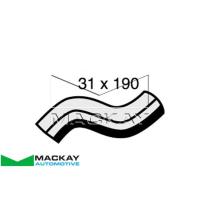 Mackay Radiator Lower Hose Thumbnail