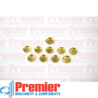 Premier Welch plug kit Thumbnail