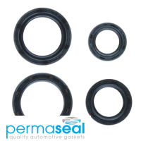 Permaseal Timing Seal Kit Thumbnail
