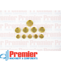 Premier Welch plug kit Thumbnail