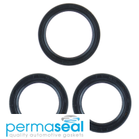 Permaseal Timing Seal Kit Thumbnail