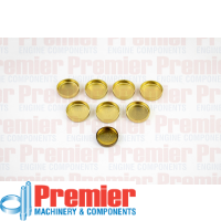 Premier Welch plug kit Thumbnail