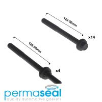 Permaseal Cylinder Head Bolt Set Thumbnail