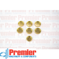 Premier Welch plug kit Thumbnail