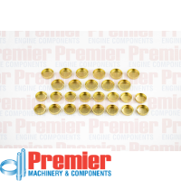 Premier Welch plug kit Thumbnail