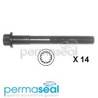 Permaseal Cylinder Head Bolt Set Thumbnail