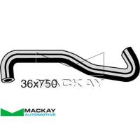 Mackay Radiator Lower Hose Thumbnail
