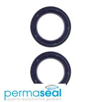 Permaseal Timing Seal Kit Thumbnail