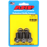 ARP Metric Thread Bolt Kit Thumbnail
