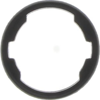 Durapro Thermostat Housing Gasket Thumbnail