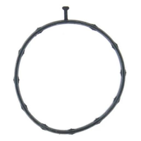 Durapro Thermostat Housing Gasket Thumbnail