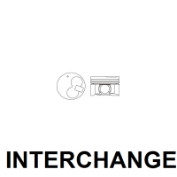 INTERCHANGE Piston & ring set Thumbnail