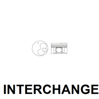 INTERCHANGE Piston & ring set Thumbnail