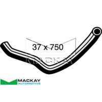 Mackay Radiator Lower Hose Thumbnail