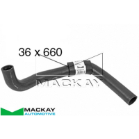 Mackay Radiator Lower Hose Thumbnail
