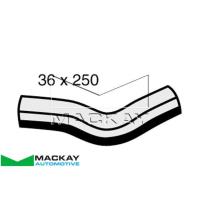 Mackay Radiator Upper Hose Thumbnail