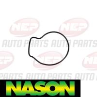 Nason Water pump Thumbnail