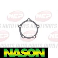 Nason Water pump Thumbnail