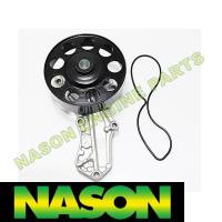 Nason Water pump Thumbnail