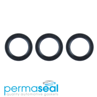 Permaseal Timing Seal Kit Thumbnail