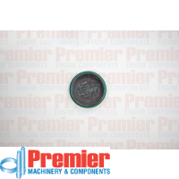 Premier Camshaft plug Thumbnail