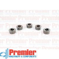 Premier Pipe plug Thumbnail