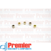 Premier Pipe plug Thumbnail