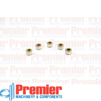 Premier Pipe plug Thumbnail