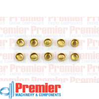 Premier Welch plug Thumbnail