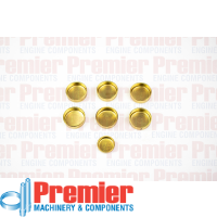 Premier Welch plug kit Thumbnail