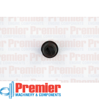 Premier Sump plug Thumbnail