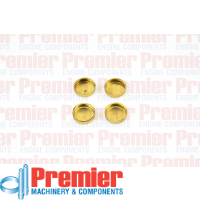 Premier Welch plug head kit Thumbnail