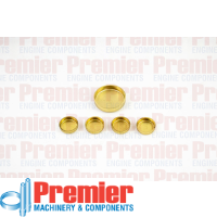 Premier Welch plug head kit Thumbnail