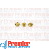 Premier Welch plug head kit Thumbnail