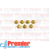Premier Welch plug head kit Thumbnail