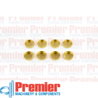 Premier Welch plug head kit Thumbnail