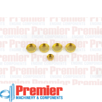 Premier Welch plug head kit Thumbnail