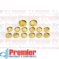 Premier Welch plug head kit Thumbnail