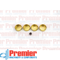 Premier Welch plug head kit Thumbnail