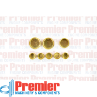 Premier Welch plug head kit Thumbnail