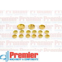 Premier Welch plug head kit Thumbnail