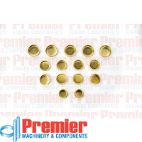 Premier Welch plug kit Thumbnail